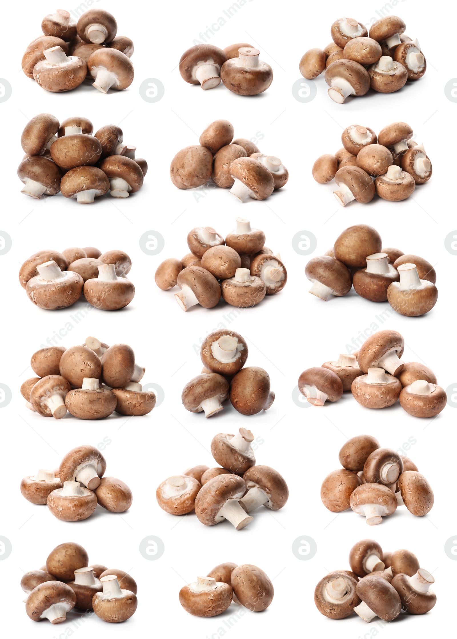 Image of  Set with fresh champignon mushrooms on white background