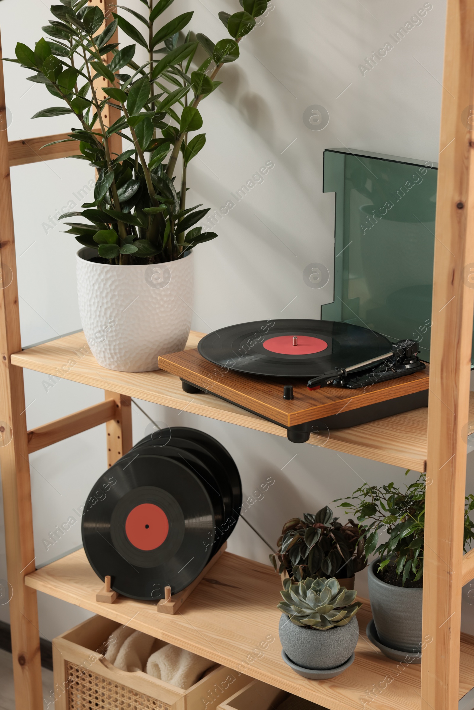 Photo of Vinyl records with stylish turntable and houseplants on wooden shelving unit in room