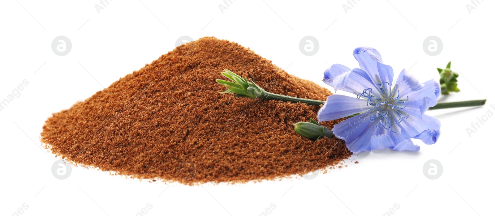 Photo of Pile of chicory powder and flower on white background