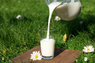 Photo of Pouring tasty fresh milk from jug into glass on green grass outdoors