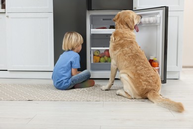 Little boy and cute Labrador Retriever seeking for food in refrigerator indoors