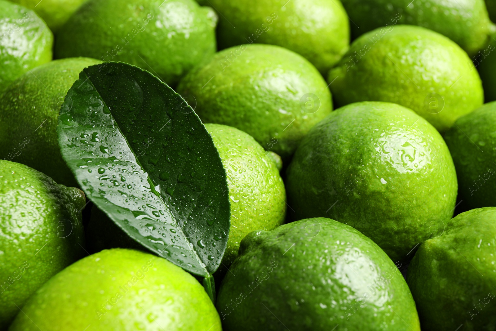 Photo of Fresh ripe juicy limes as background, closeup