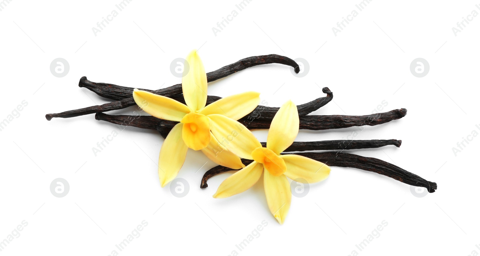 Photo of Aromatic vanilla sticks and flowers on white background