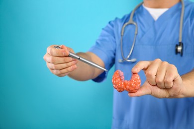 Photo of Endocrinologist showing thyroid gland model on light blue background, closeup. Space for text