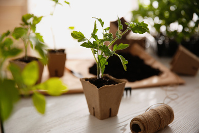 Photo of Rope and green tomato seedling in peat pot on white wooden table