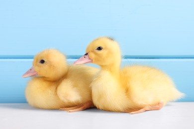 Photo of Baby animals. Cute fluffy ducklings on white wooden table near light blue wall