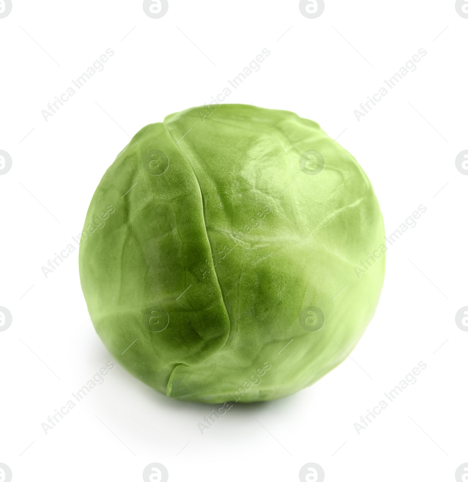 Photo of Fresh tasty Brussels sprout on white background