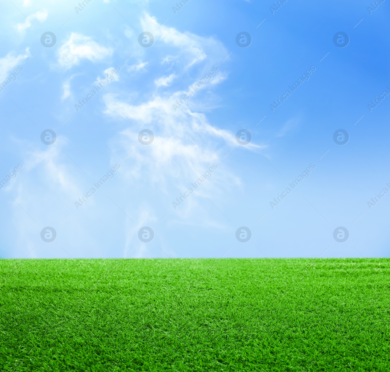 Image of Green grass under blue sky with clouds