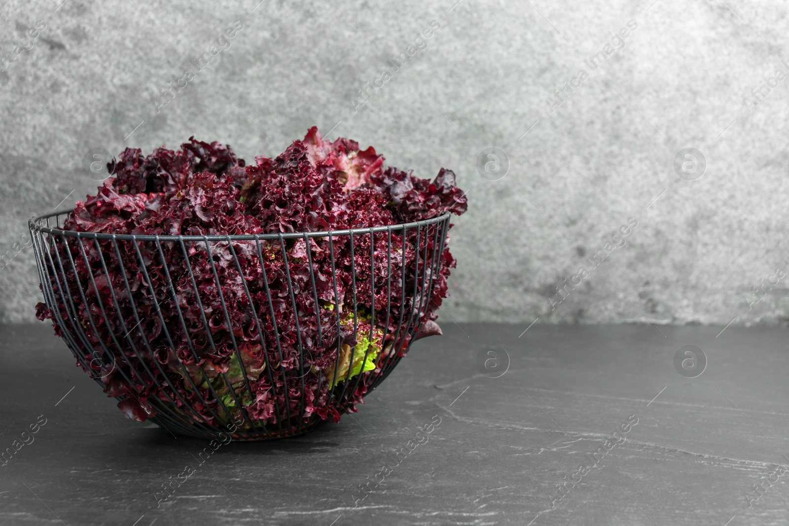 Photo of Metal bowl with red coral lettuce on grey table. Space for text