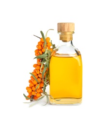 Photo of Natural sea buckthorn oil and fresh berries on white background