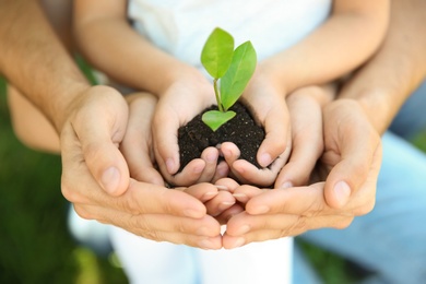 Family holding soil with green plant in hands on blurred background