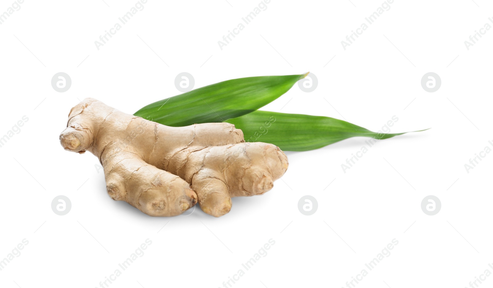 Photo of Whole fresh ginger and leaves on white background