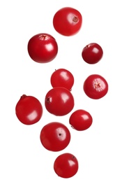 Image of Fresh red cranberries falling on white background