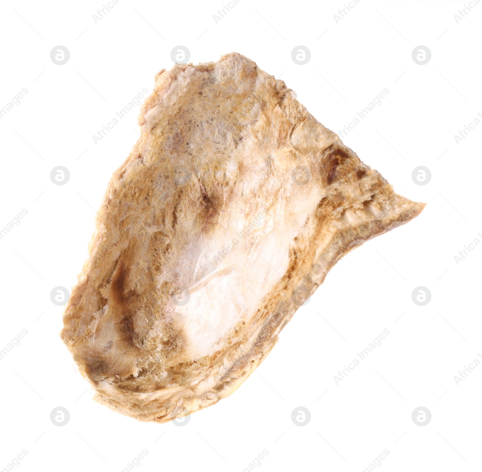 Photo of Piece of peanut pod isolated on white