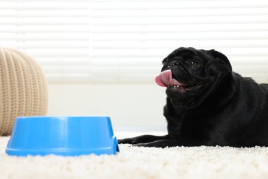 Photo of Cute Pug dog eating from plastic bowl in room, space for text