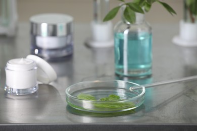 Photo of Glass tubes, containers and petri dish with leaves on metal table indoors