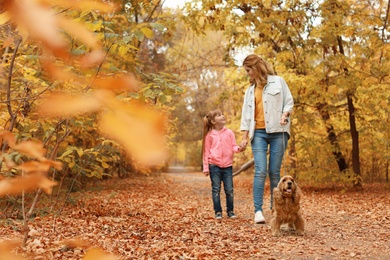 Photo of Mother with her cute daughter and dog in park. Autumn walk