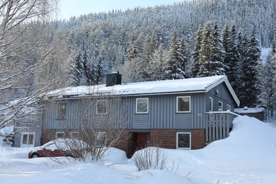 Winter landscape with wooden house, trees and bushes on snowy day