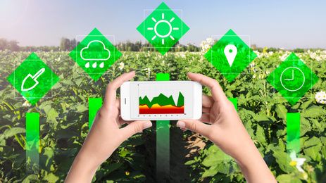 Image of Modern agriculture. Woman with smartphone in field and icons, closeup