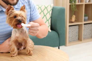 Man brushing dog's teeth on wooden table at home, closeup. Space for text