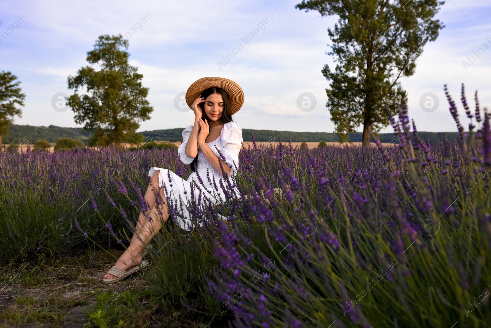 Photo of Beautiful young woman sitting in lavender field