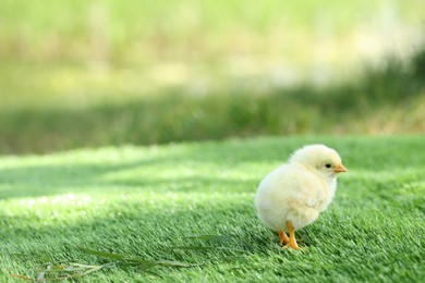 Cute chick on green artificial grass outdoors, closeup with space for text. Baby animal