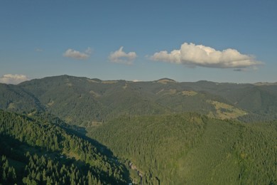 Aerial view of beautiful mountain landscape with forest on sunny day