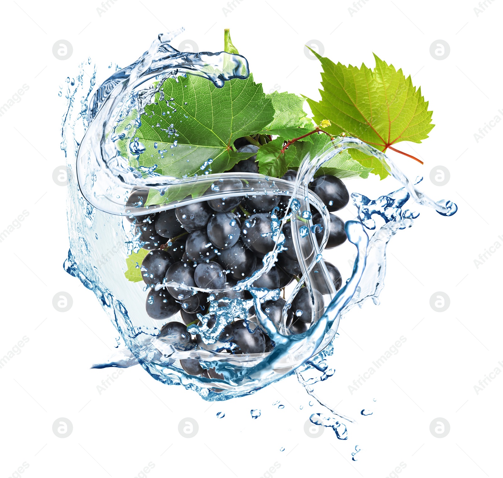 Image of Grape cluster with water splash on white background