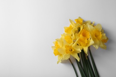 Photo of Beautiful yellow daffodils on white background, top view. Space for text
