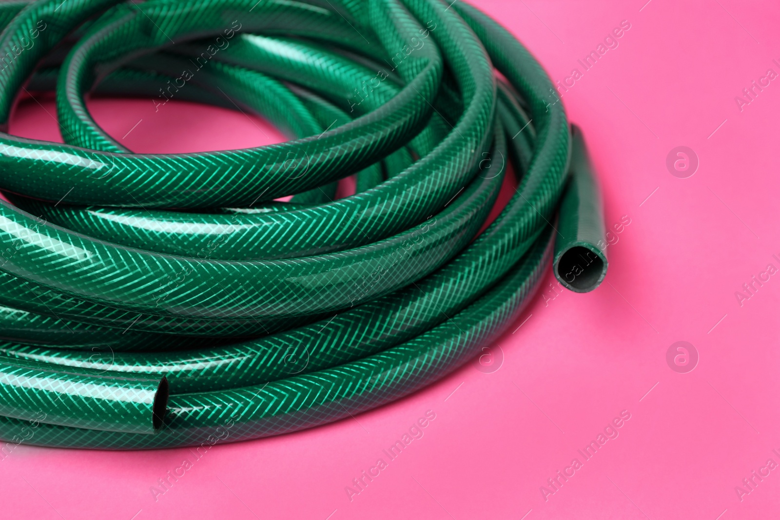 Photo of Watering hose on pink background, closeup view