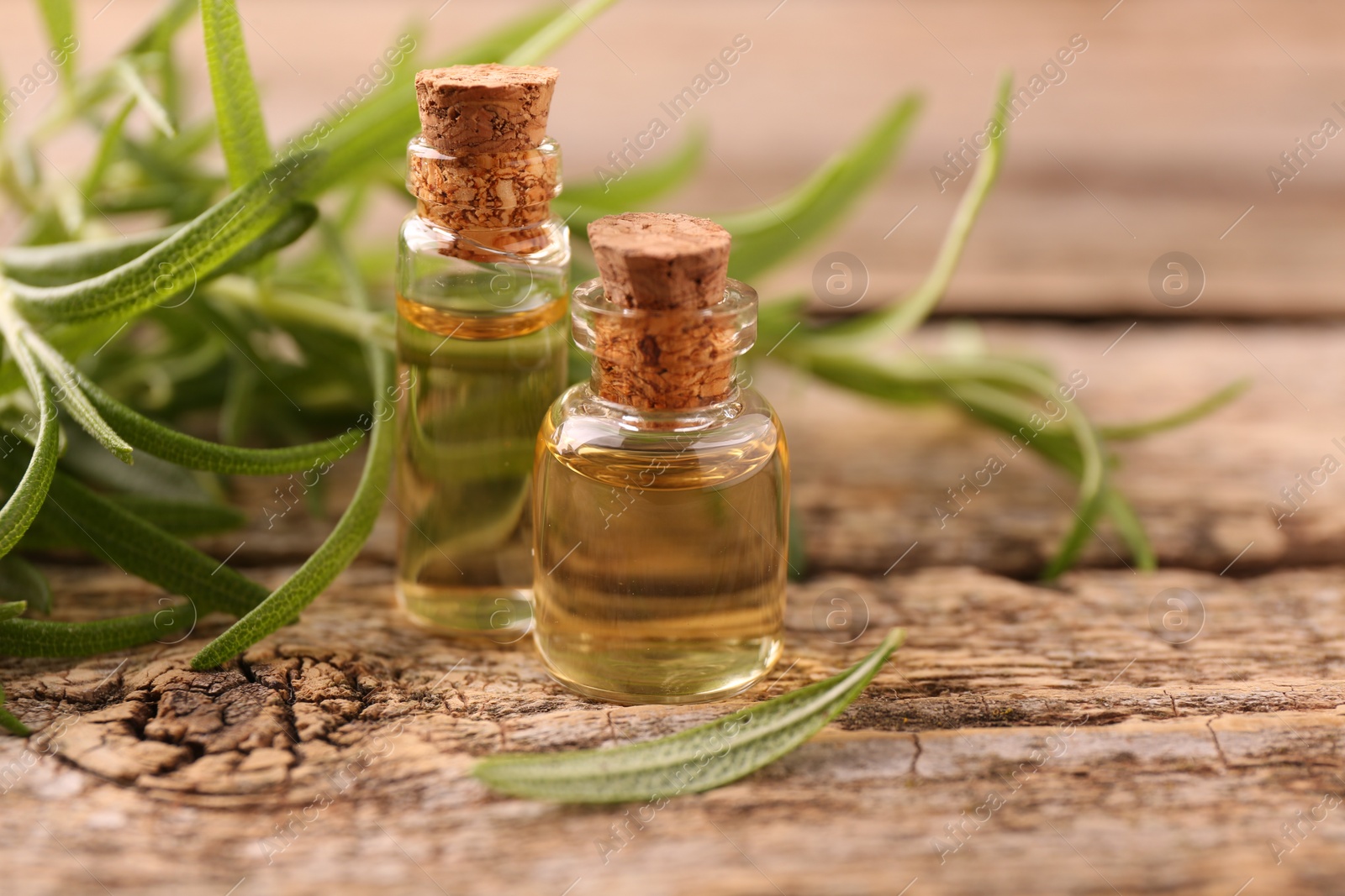 Photo of Aromatic essential oils in bottles and rosemary on wooden table, closeup