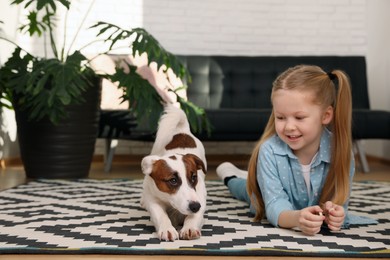 Cute little girl with her dog on carpet at home. Childhood pet