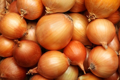 Photo of Fresh whole onions as background, top view