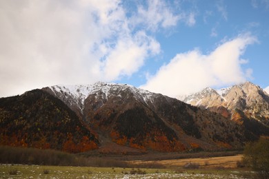 Photo of Picturesque view of mountain landscape with forest and meadow on autumn day