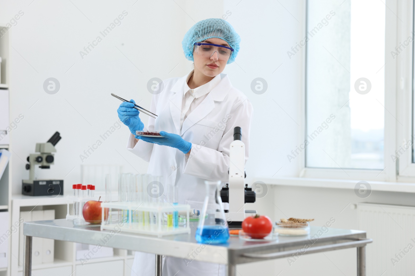 Photo of Quality control. Food inspector checking safety of products in laboratory