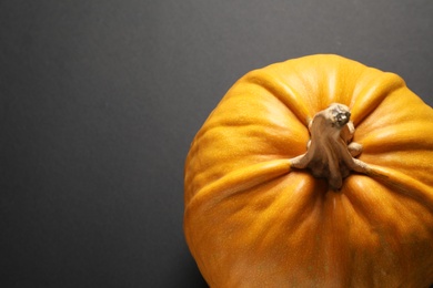 Fresh ripe pumpkin on black background, closeup with space for text. Holiday decoration