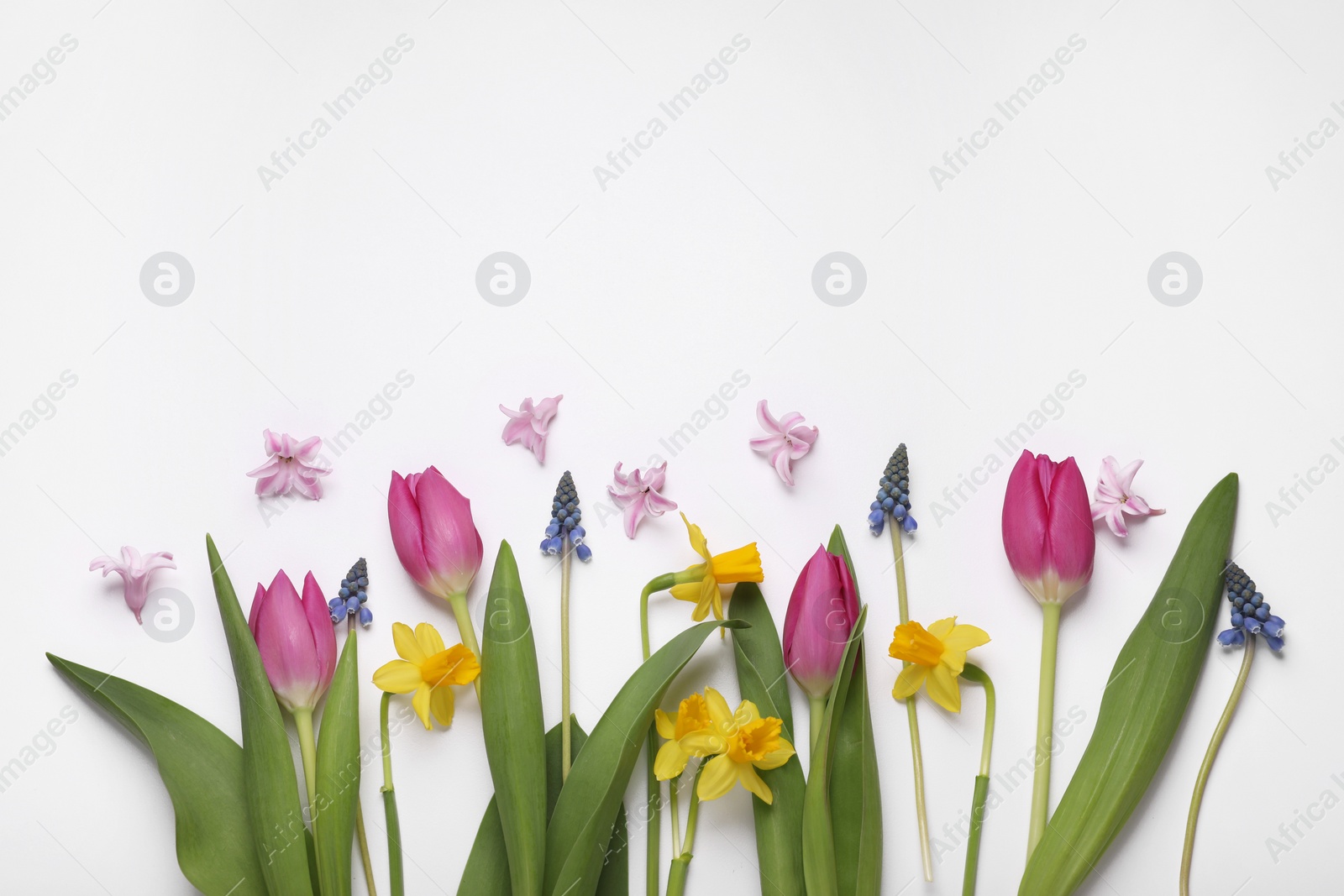 Photo of Beautiful flowers on white background, flat lay. Space for text