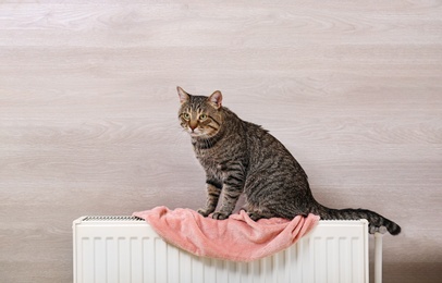 Photo of Cute tabby cat on heating radiator with plaid near light wooden wall