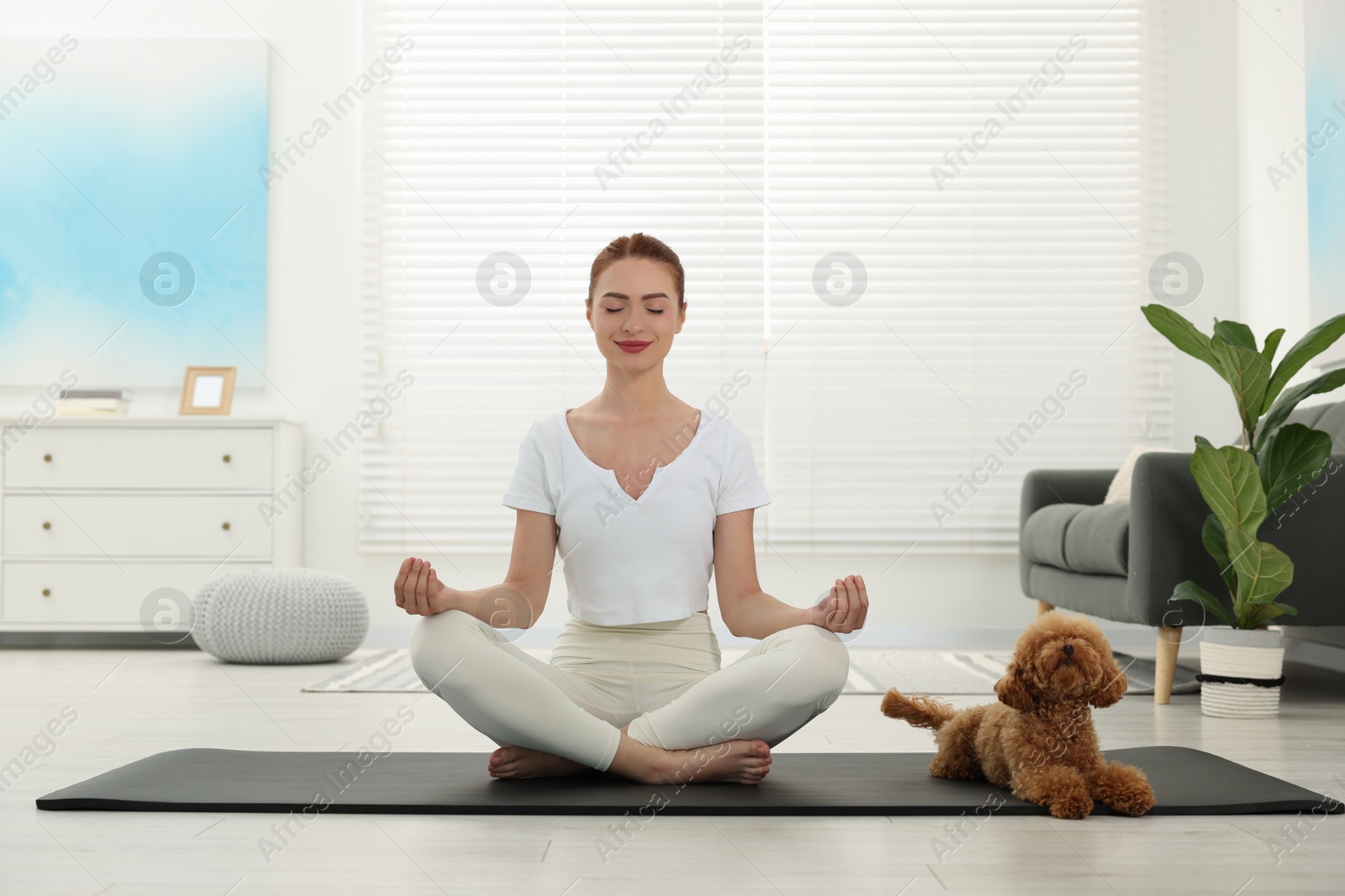 Photo of Young woman practicing yoga on mat with her cute dog at home