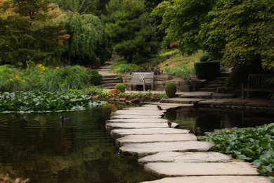 Photo of Beautiful view of park with pond, stone pathway and green plants