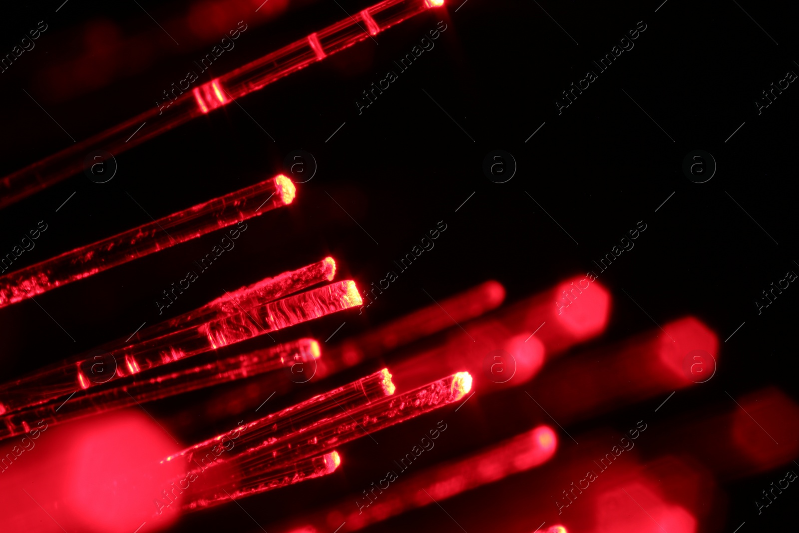 Photo of Optical fiber strands transmitting red light on black background, macro view