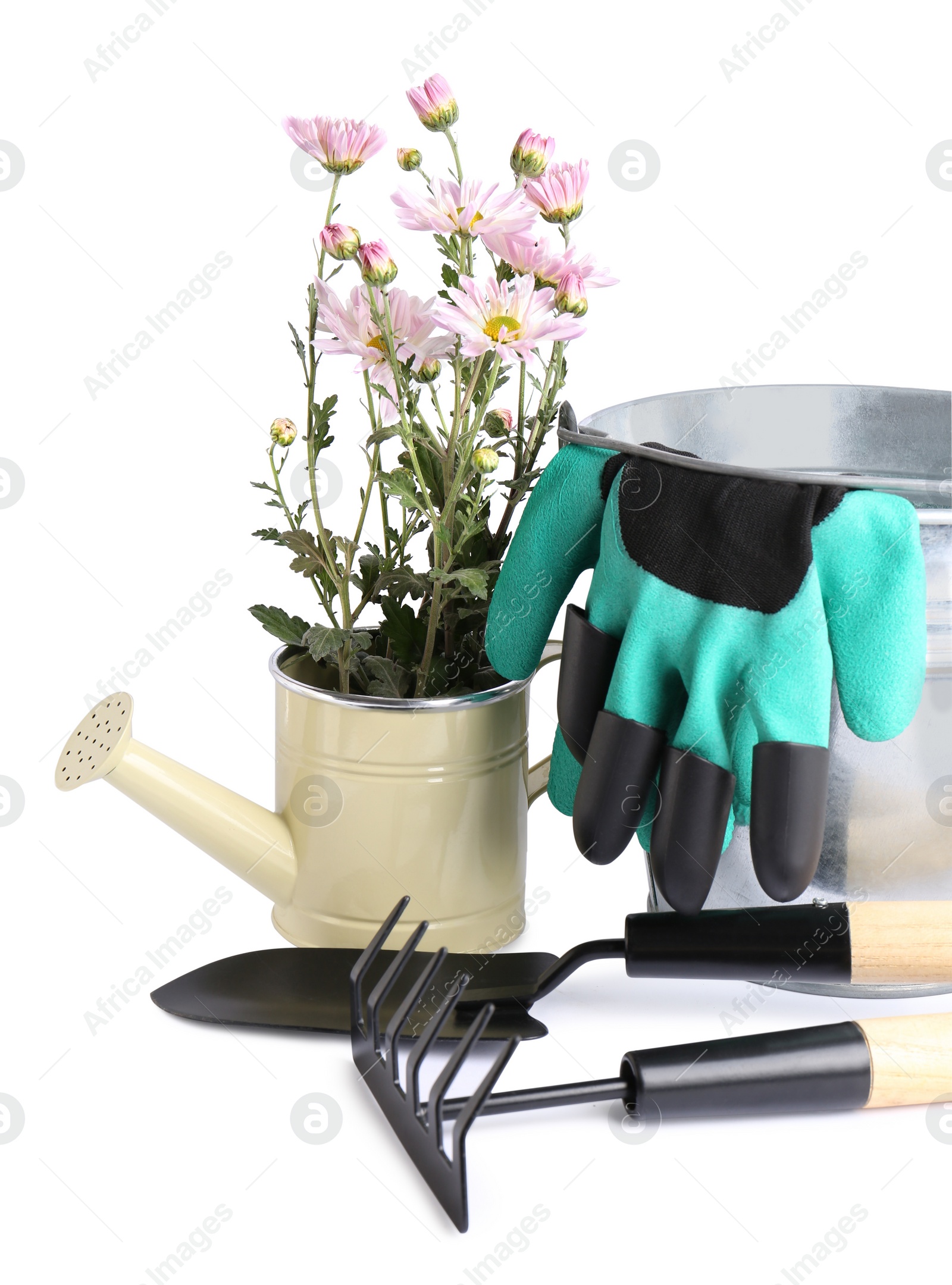 Photo of Watering can with flowers and gardening tools on white background