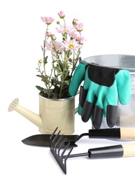 Watering can with flowers and gardening tools on white background