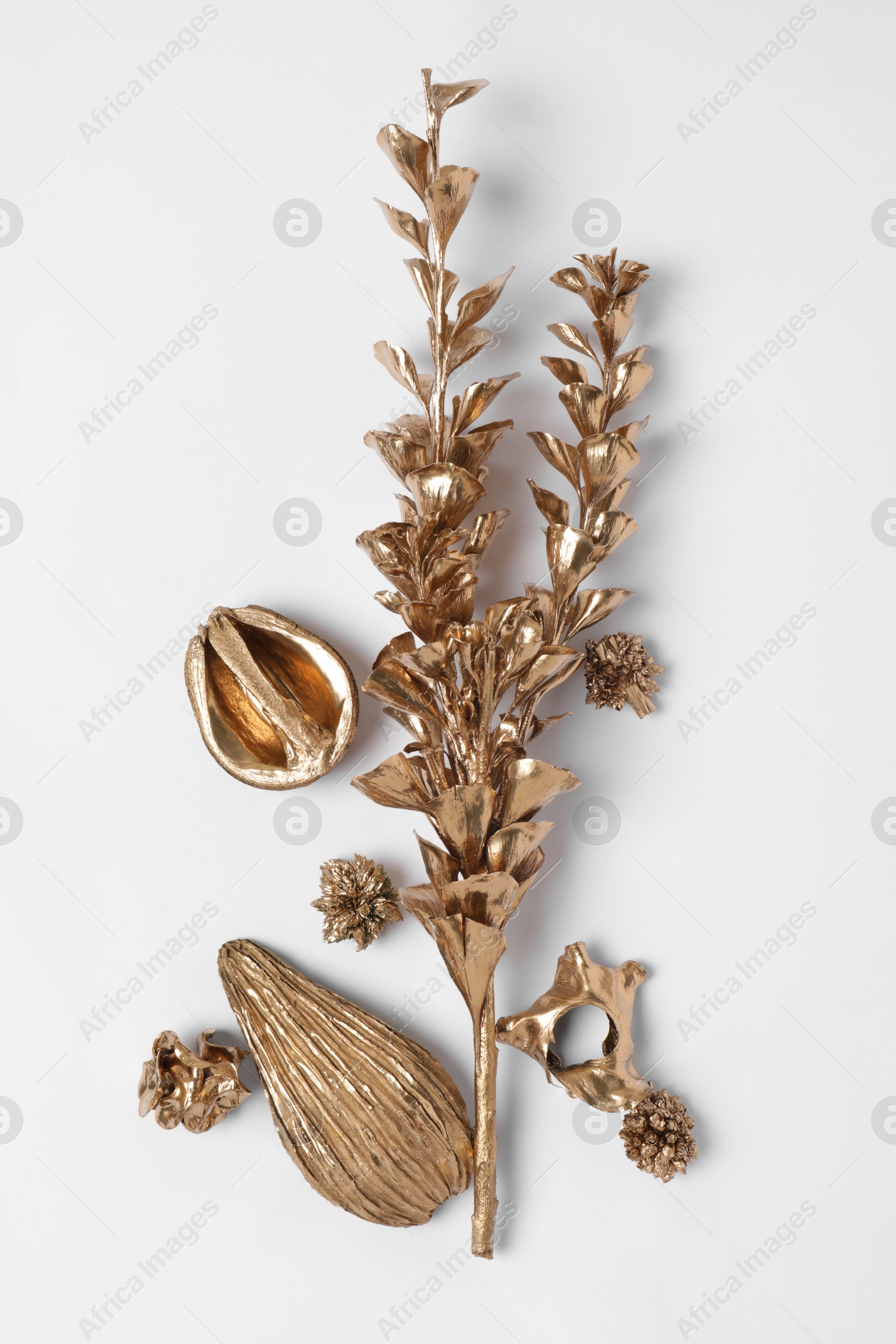 Photo of Shiny golden branch with leaves, half of walnut and avocado on white background, flat lay. Decor elements