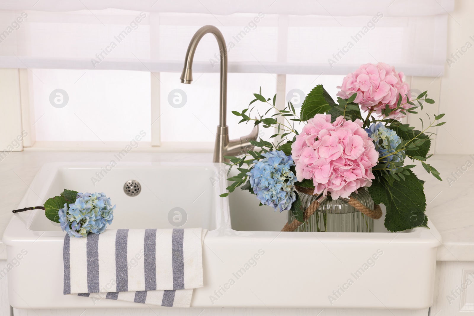 Photo of Vase with beautiful hortensia flowers in kitchen sink