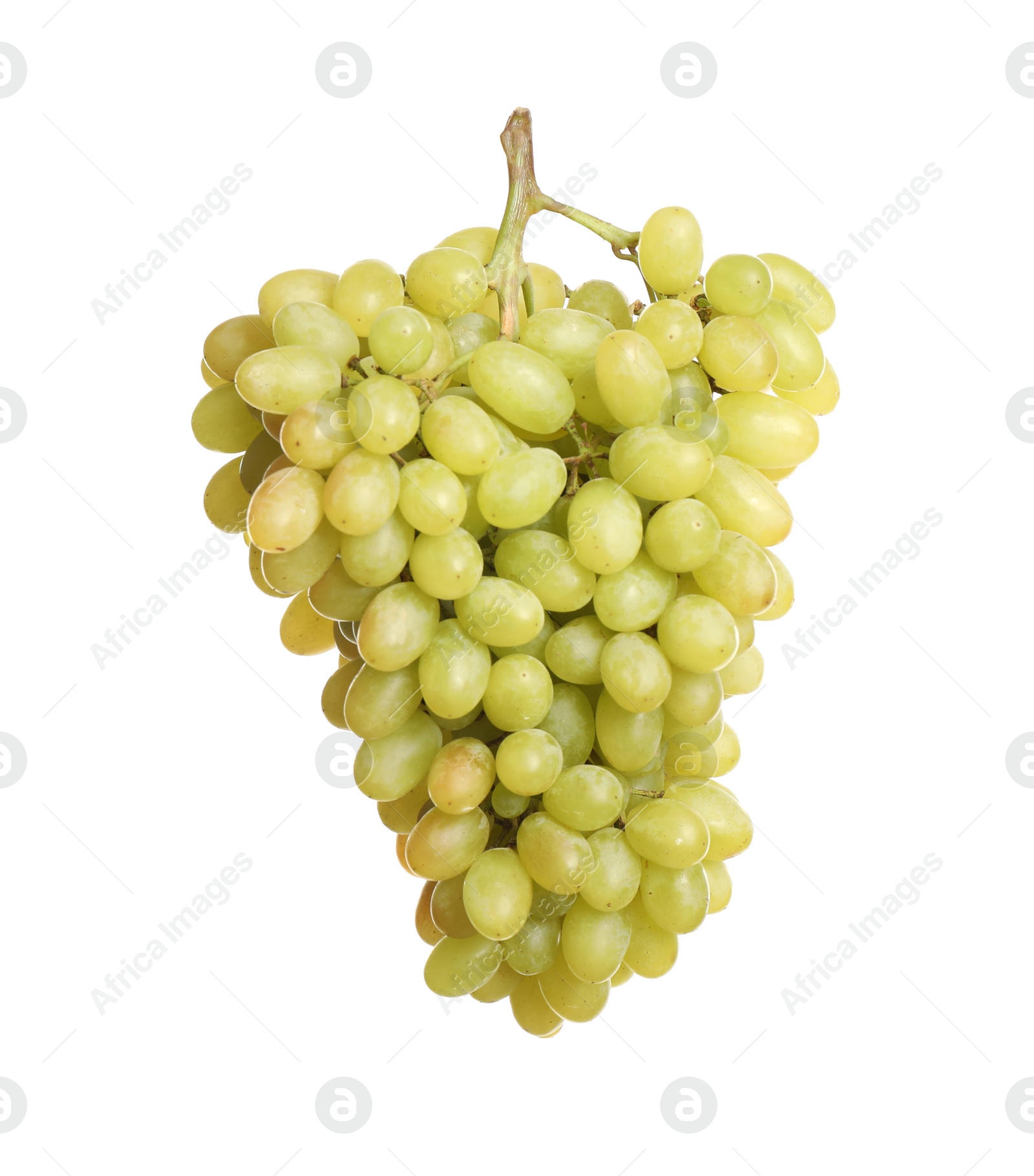 Photo of Bunch of fresh ripe juicy grapes isolated on white