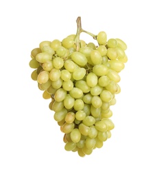 Bunch of fresh ripe juicy grapes isolated on white