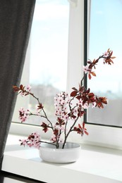 Photo of Spring season. Composition with beautiful blossoming tree branches on windowsill
