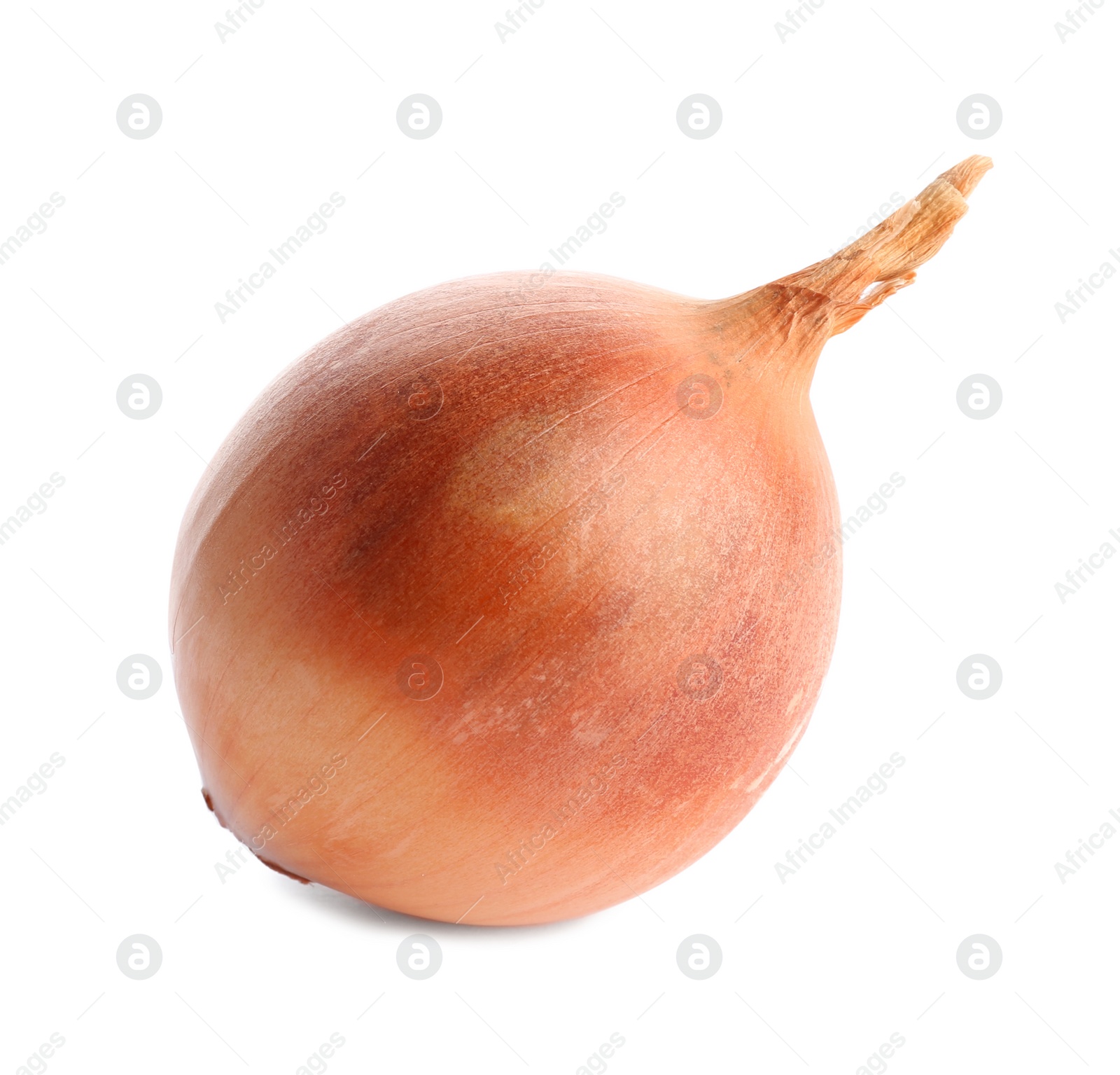 Photo of Fresh ripe onion bulb on white background