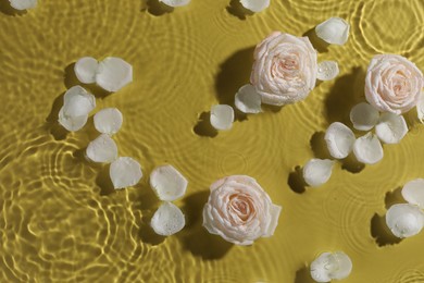 Photo of Beautiful roses and petals in water on pale yellow background, top view